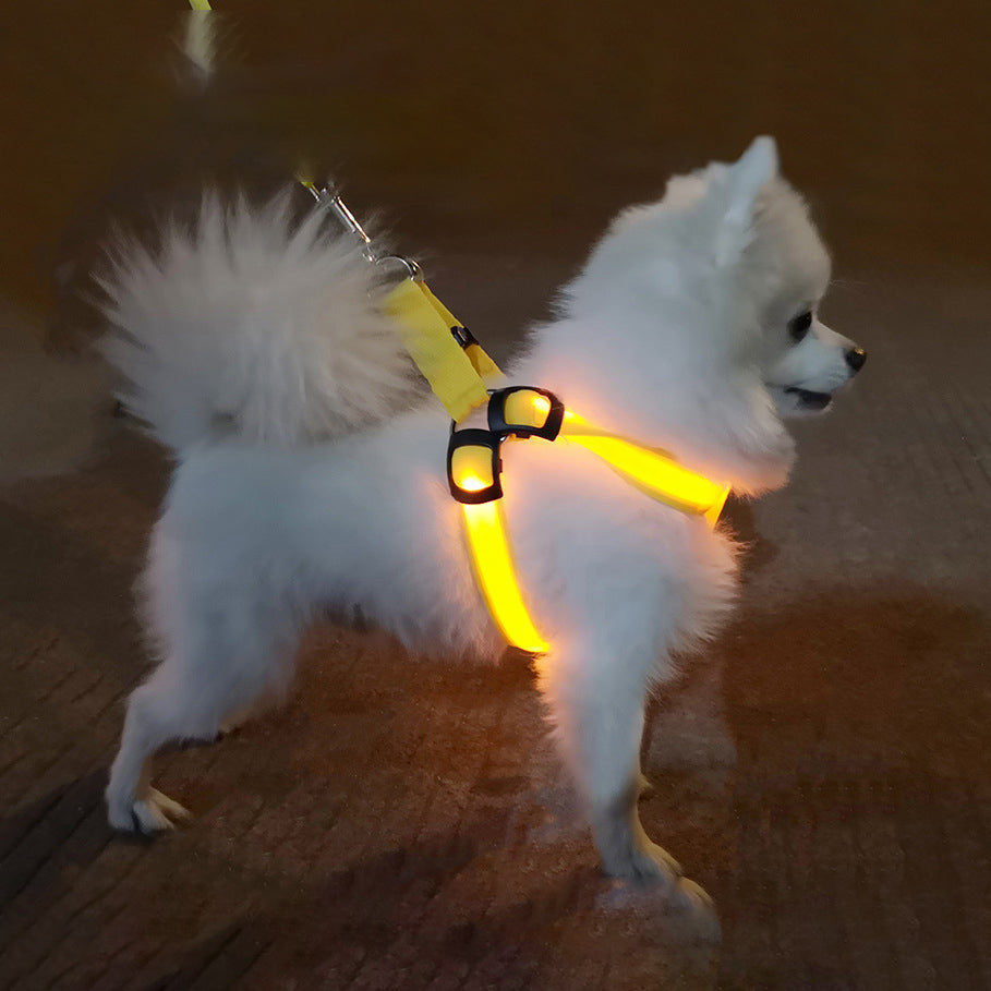KFX-7754813 LED Illuminated Pet Leashing Vest for Enhanced Night Safety - Multiple Colors Available