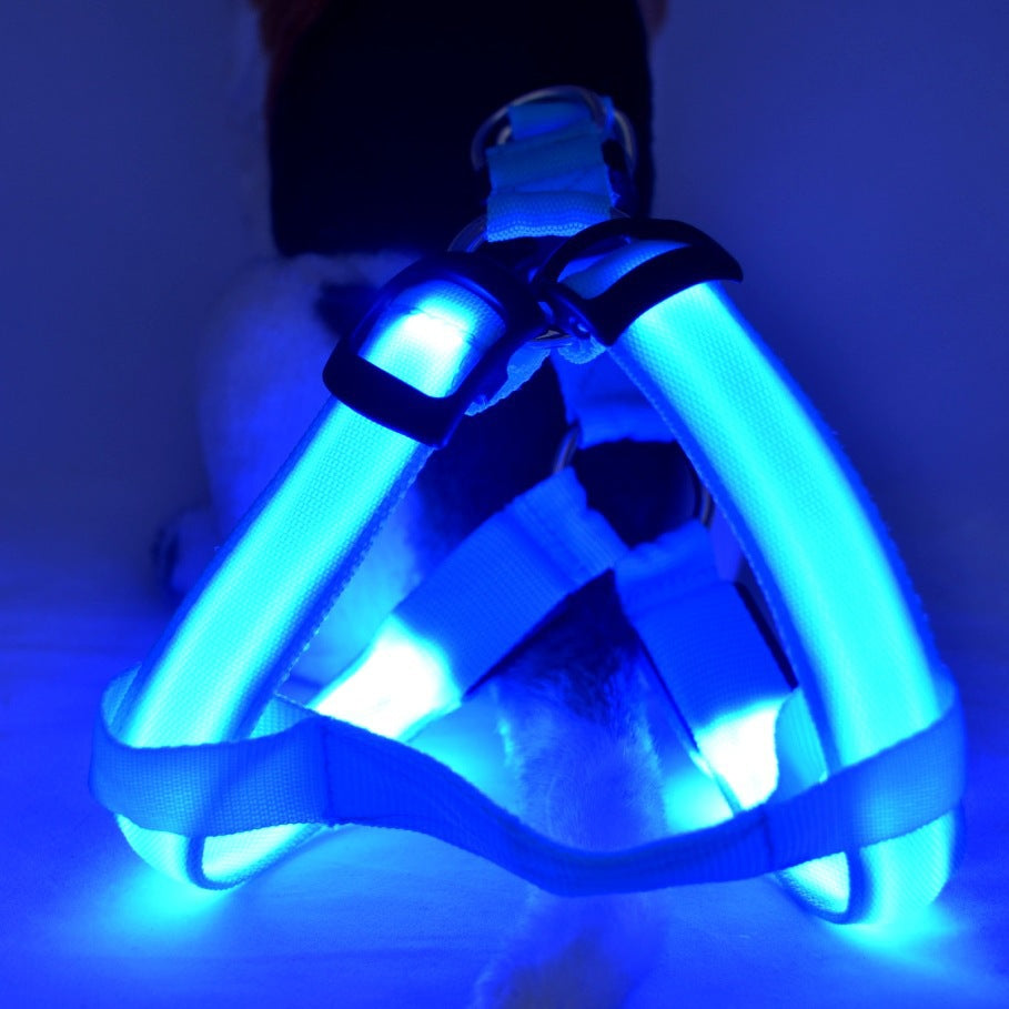 KFX-7754813 LED Illuminated Pet Leashing Vest for Enhanced Night Safety - Multiple Colors Available