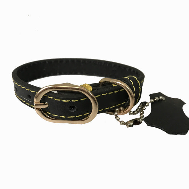KFX-7763261 Pet Leather Collar - Monochrome Color Options in Blue, Black, Red, Purple, Yellow, Green, Lake Blue, Brown, Available Sizes XS to XL