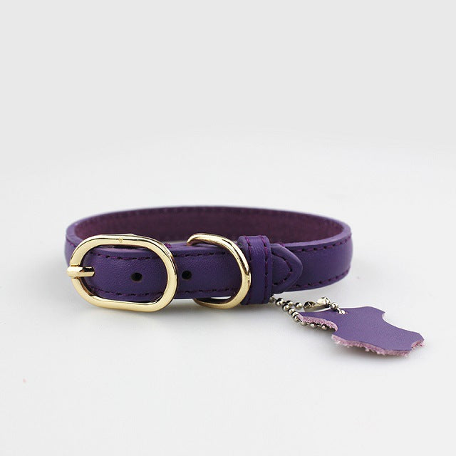 KFX-7763261 Pet Leather Collar - Monochrome Color Options in Blue, Black, Red, Purple, Yellow, Green, Lake Blue, Brown, Available Sizes XS to XL
