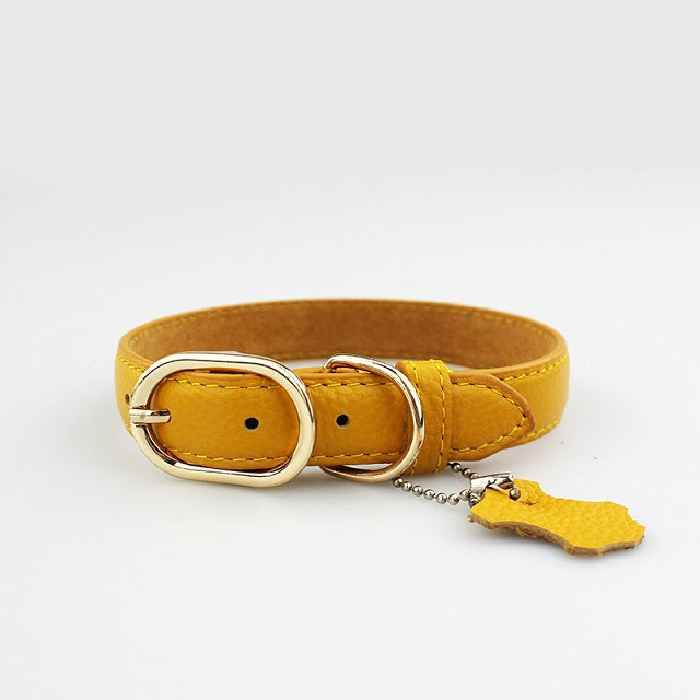 KFX-7763261 Pet Leather Collar - Monochrome Color Options in Blue, Black, Red, Purple, Yellow, Green, Lake Blue, Brown, Available Sizes XS to XL