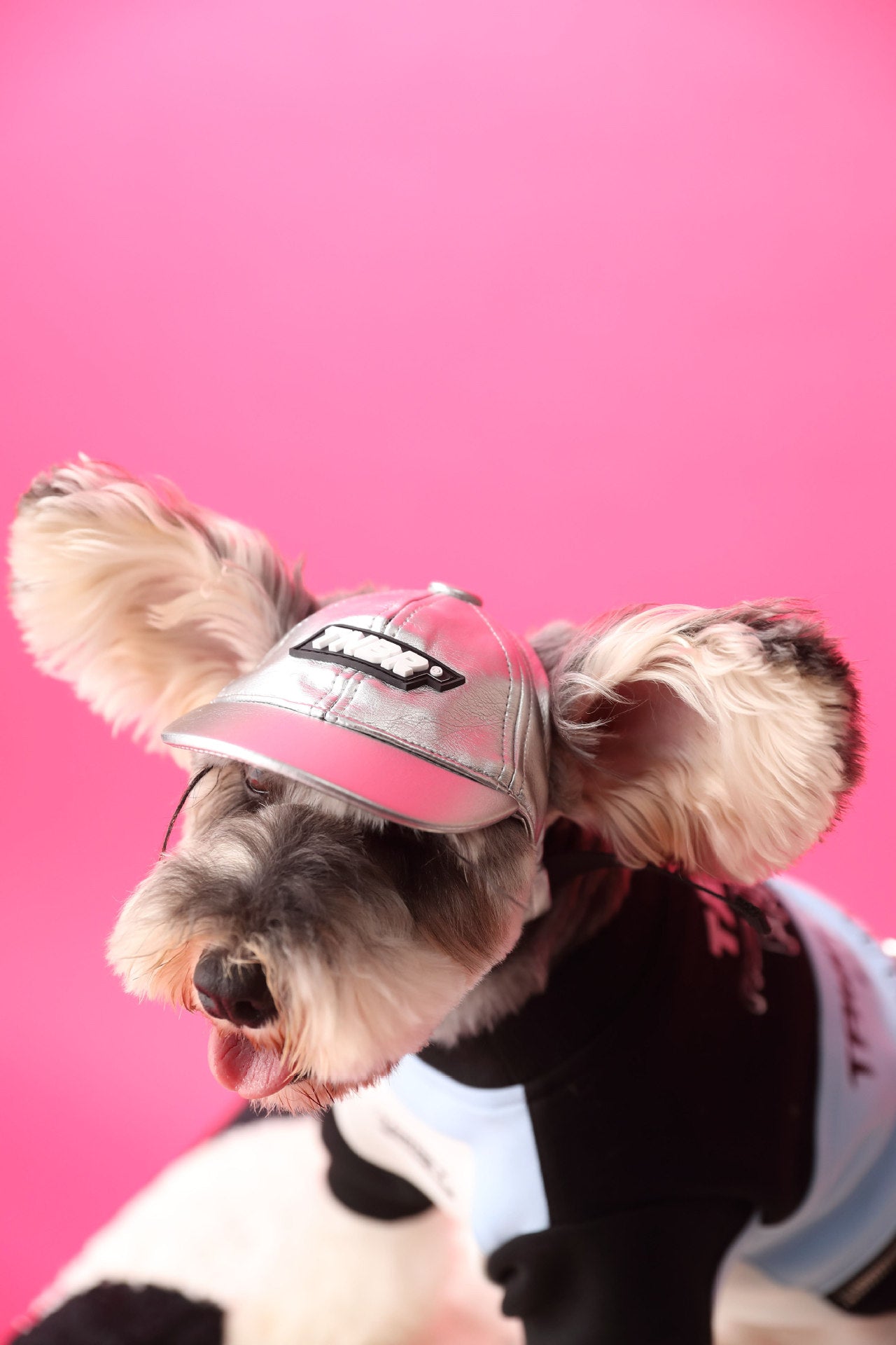 KFX-7766333 Cozy Cotton Zipper Pullover Sweater for Dogs in Pink and Blue