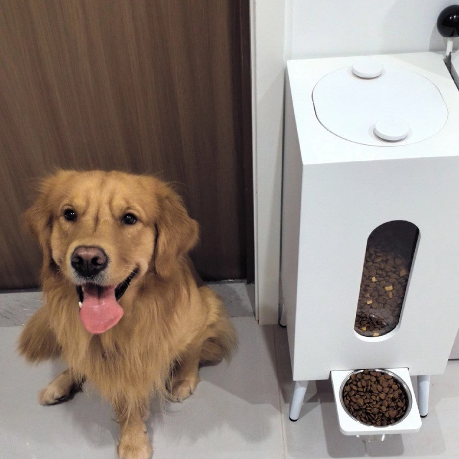 KFX-7767229 Elevated Wooden Pet Feeder for Dogs and Cats - Large Capacity, Adjustable Legs