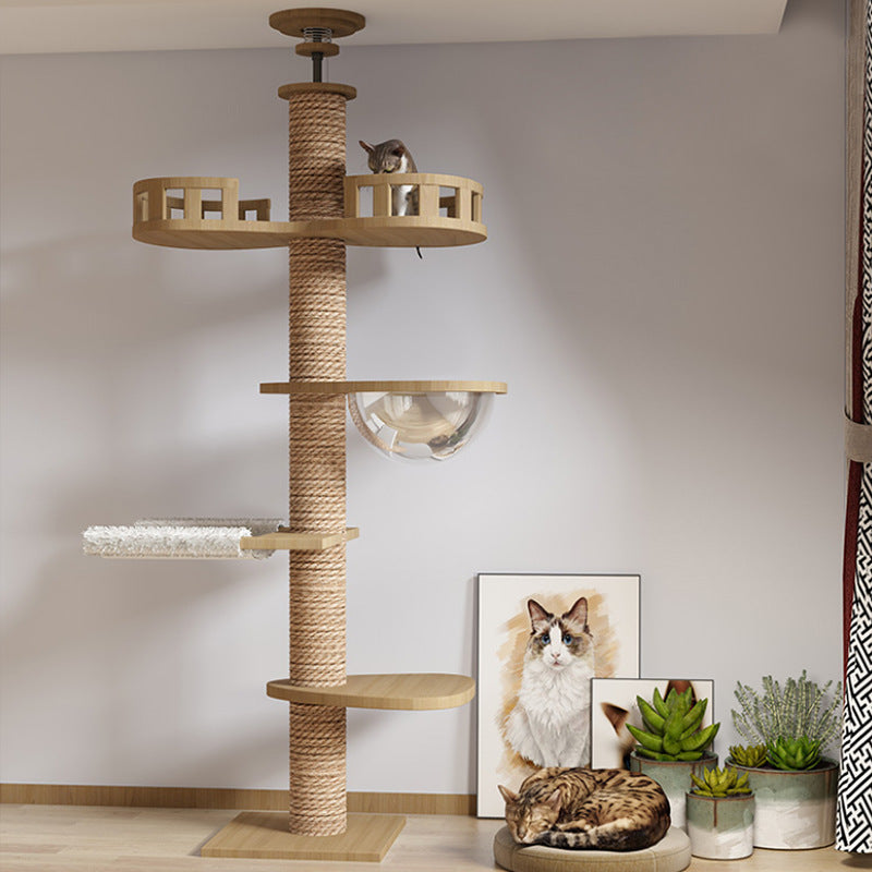 KFX-7770301 Stylish Solid Pine Cat Climbing Frame with Space Capsule and Hammocks