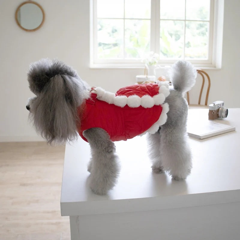 KFX-7771453 Pet Winter Clothing with Thick Fur Collar and Red Chinese Knot Design