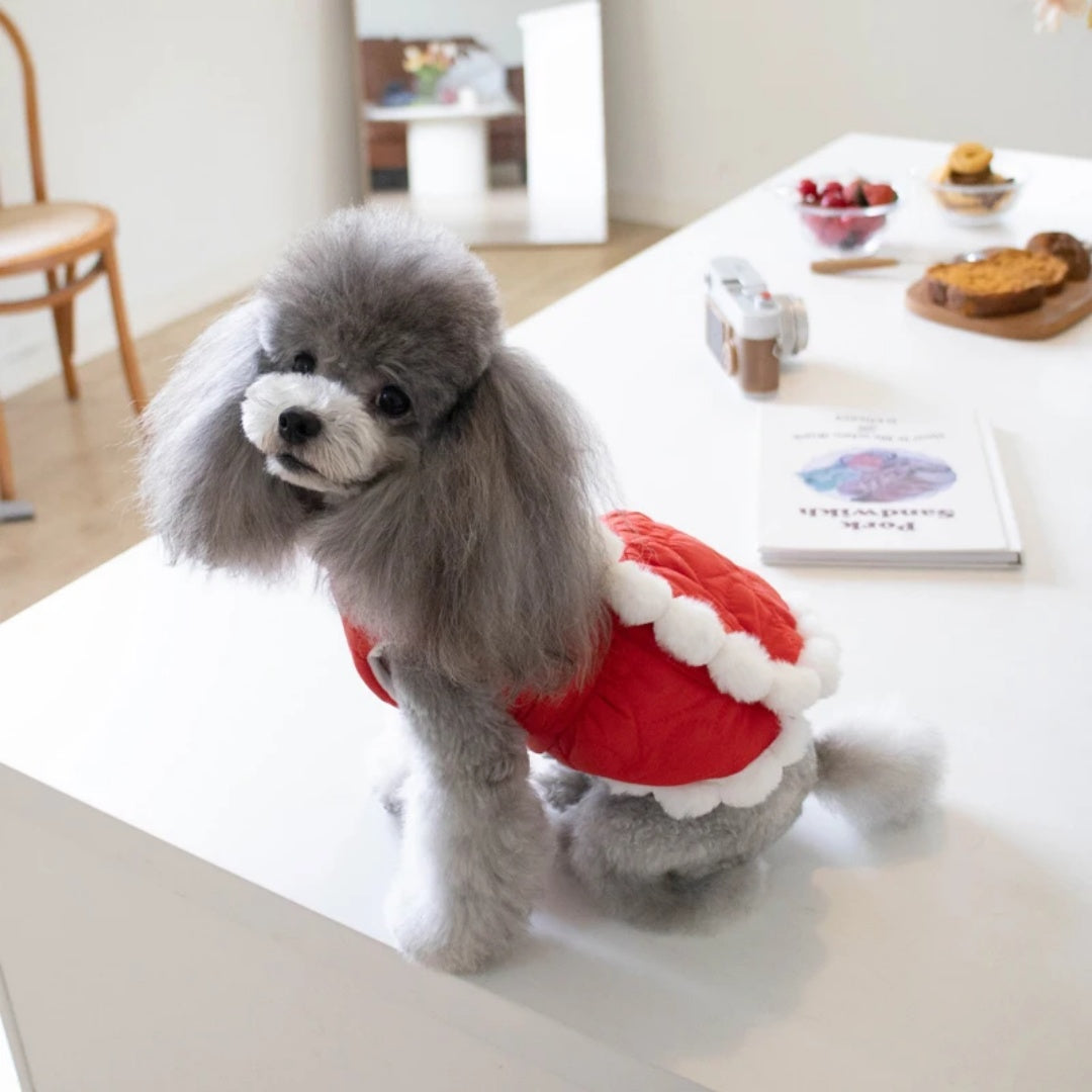 KFX-7771453 Pet Winter Clothing with Thick Fur Collar and Red Chinese Knot Design