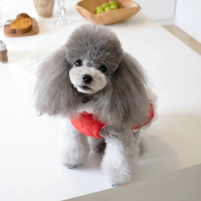 KFX-7771453 Pet Winter Clothing with Thick Fur Collar and Red Chinese Knot Design