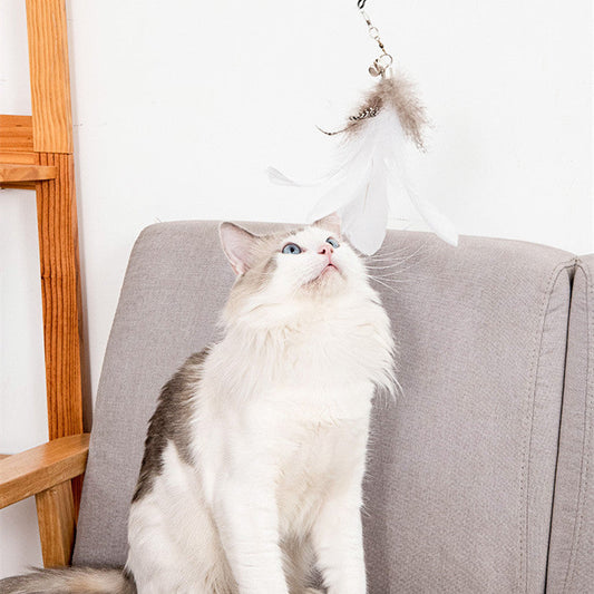 KFX-7771837 Suction Cup Cat Teaser Stick with Elastic Steel Wire and Feather Ends