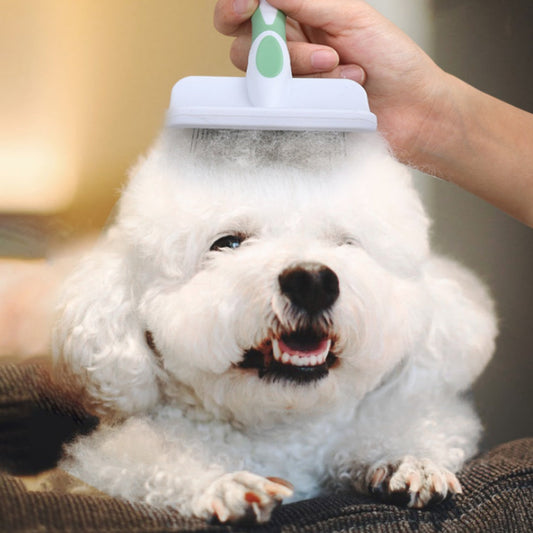 KFX-7772605 Dog Knot Remover and Unraveled Comb - Plastic Grooming Tool in Pink, Green, Purple