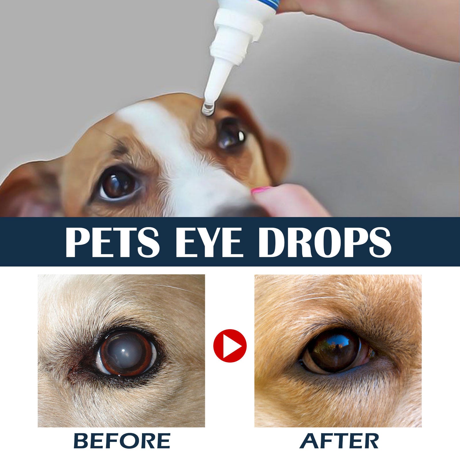 KFX-7774653 Pet Eye Drops for Tear Removal and Itch Relief - 10ml