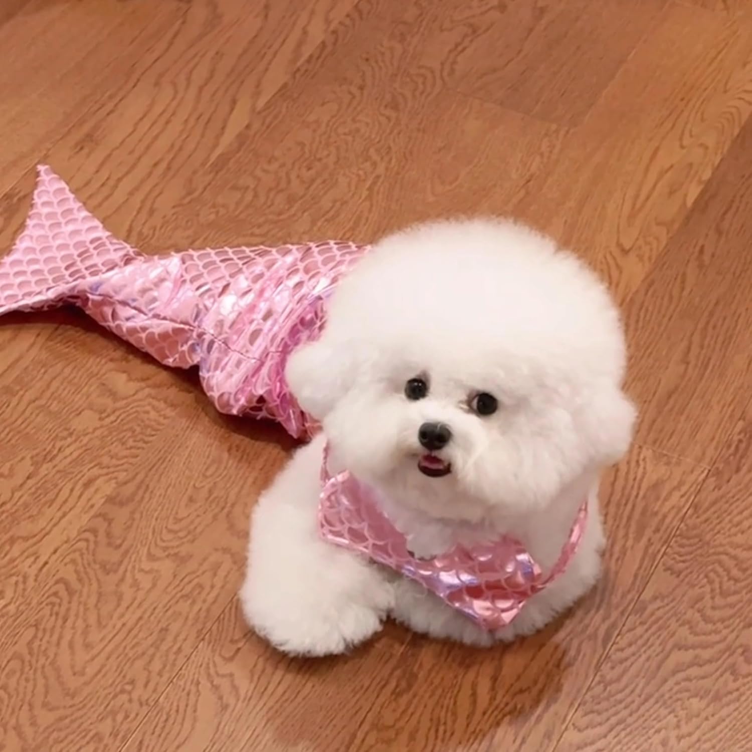 KFX-7787965 Pet Mermaid Fishtail Costume for Cats and Dogs - Cute Underwater Dress for Playtime and Photos