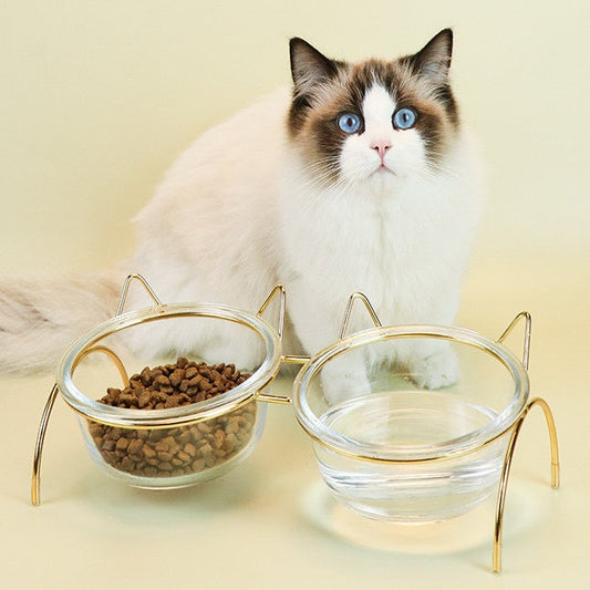 KFX-7788477 Transparent Glass Cat Bowl with Metal Stand for Comfortable Feeding and Drinking