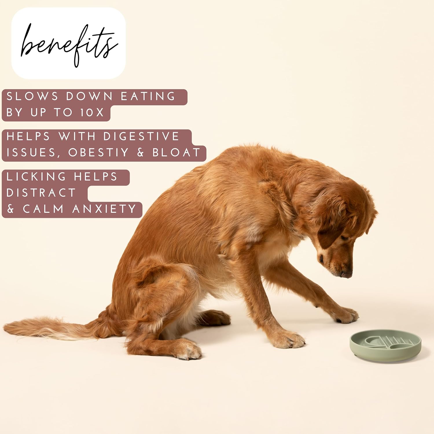 KFX-7791549 Silicone Slow Feeder Bowl for Dogs and Puppies - Reduces Gulping and Supports Digestive Health