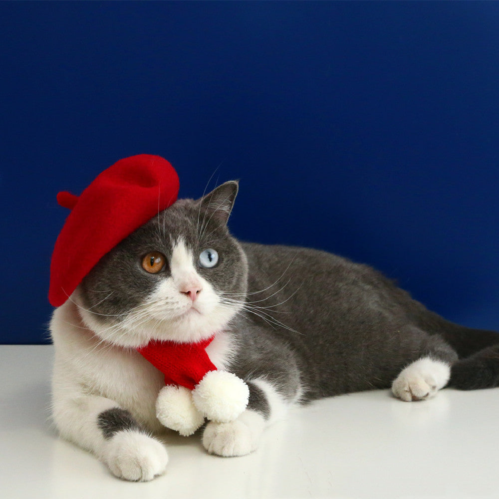 KFX-7796029 Pet Cat and Dog Accessory Set - Monochrome Cashmere Necklet with Wool Caps and Bow Collar