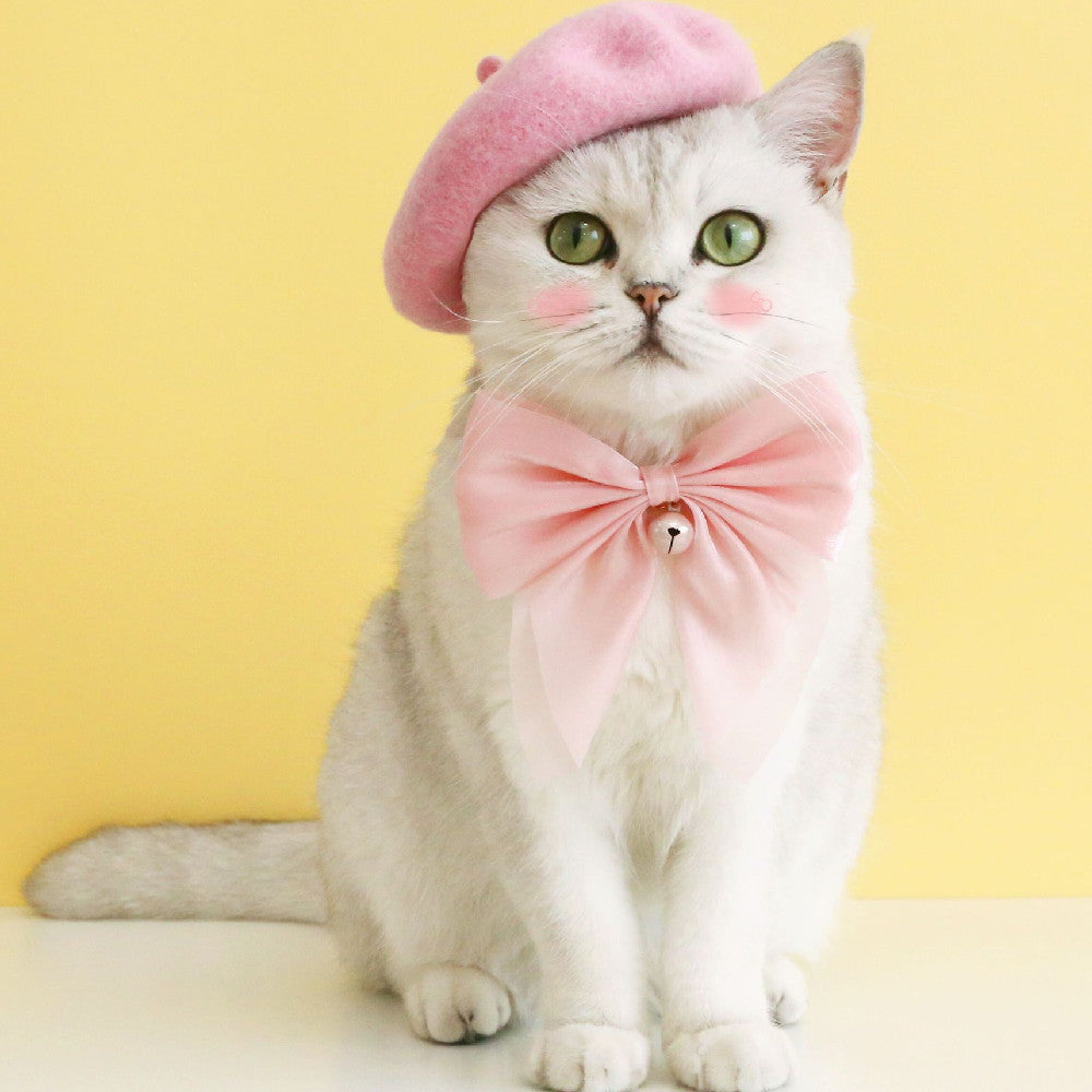 KFX-7796029 Pet Cat and Dog Accessory Set - Monochrome Cashmere Necklet with Wool Caps and Bow Collar