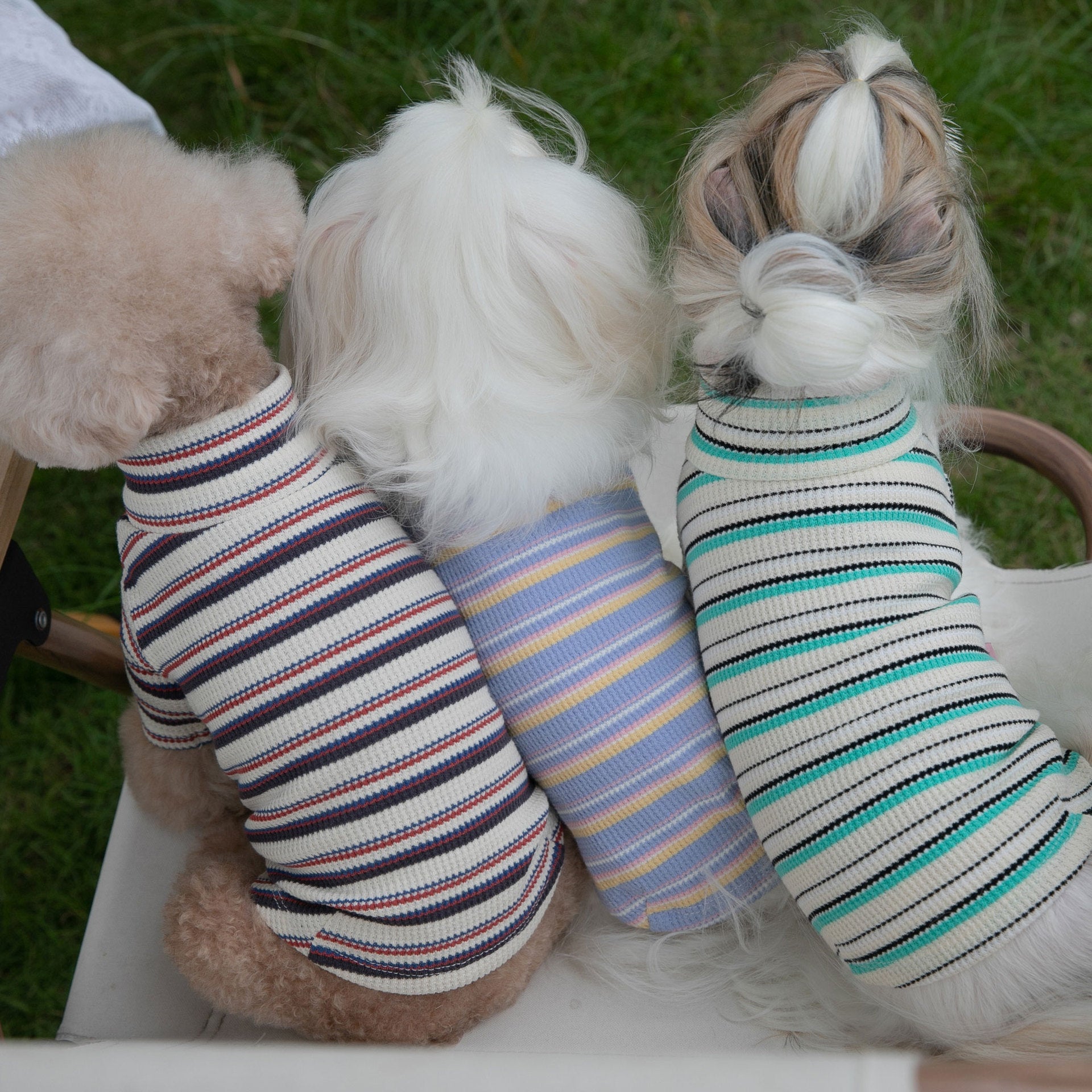 KFX-7798461 Comfortable Long-Sleeved Striped Waffle Pet Shirt for Dogs and Cats in Curry Apricot, Green Apricot, Blue Yellow