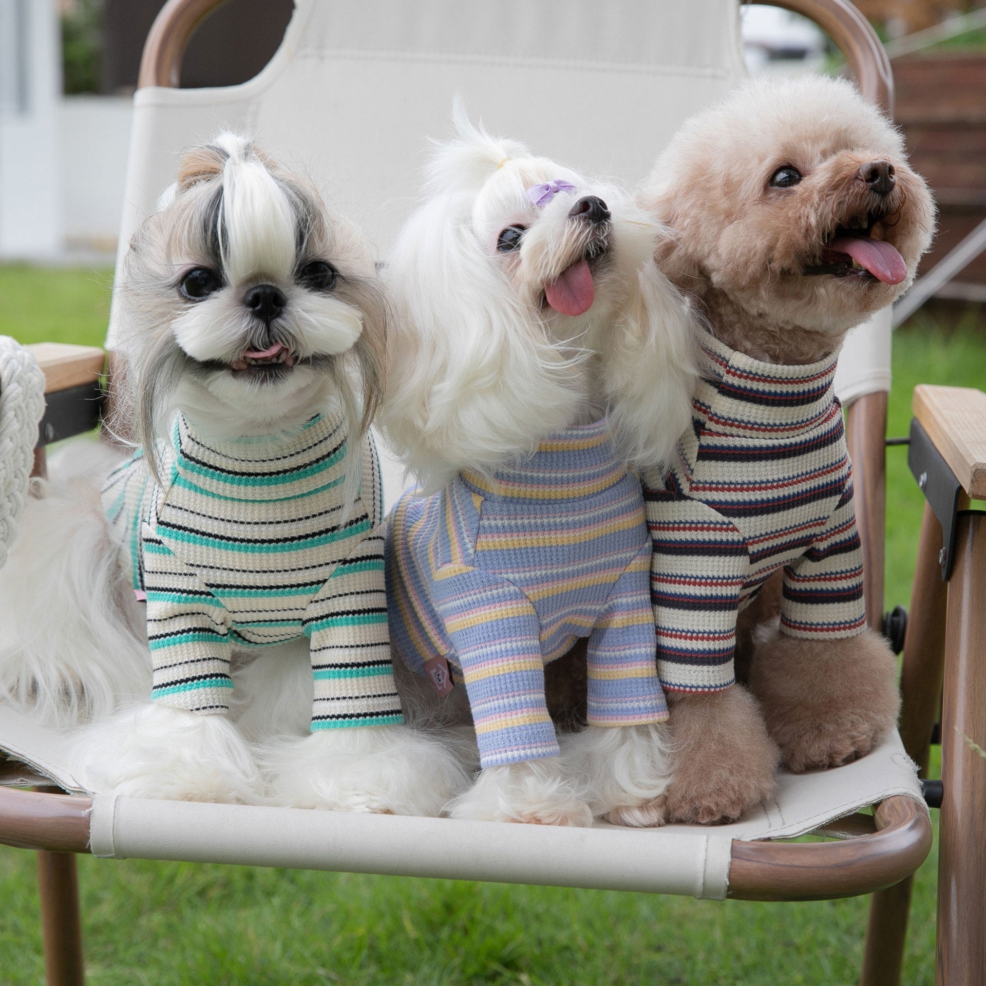 KFX-7798461 Comfortable Long-Sleeved Striped Waffle Pet Shirt for Dogs and Cats in Curry Apricot, Green Apricot, Blue Yellow