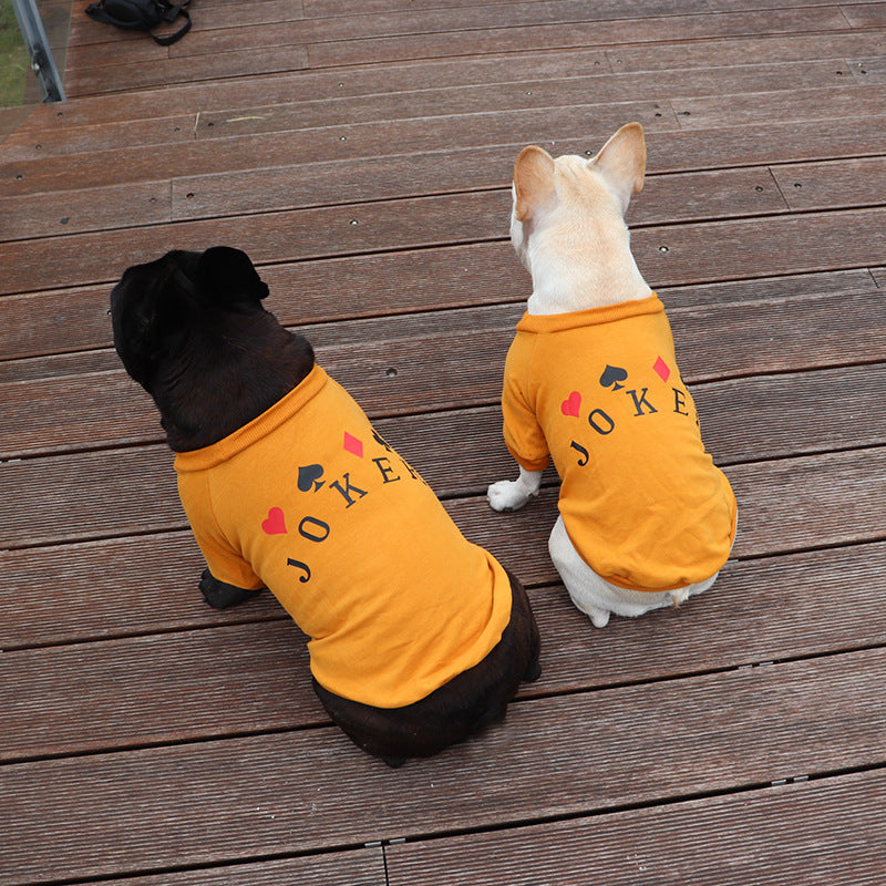 KFX-7799101 Schnauzer Teddy Dog Sweatshirt in Pure Cotton for Small Dogs and Cats