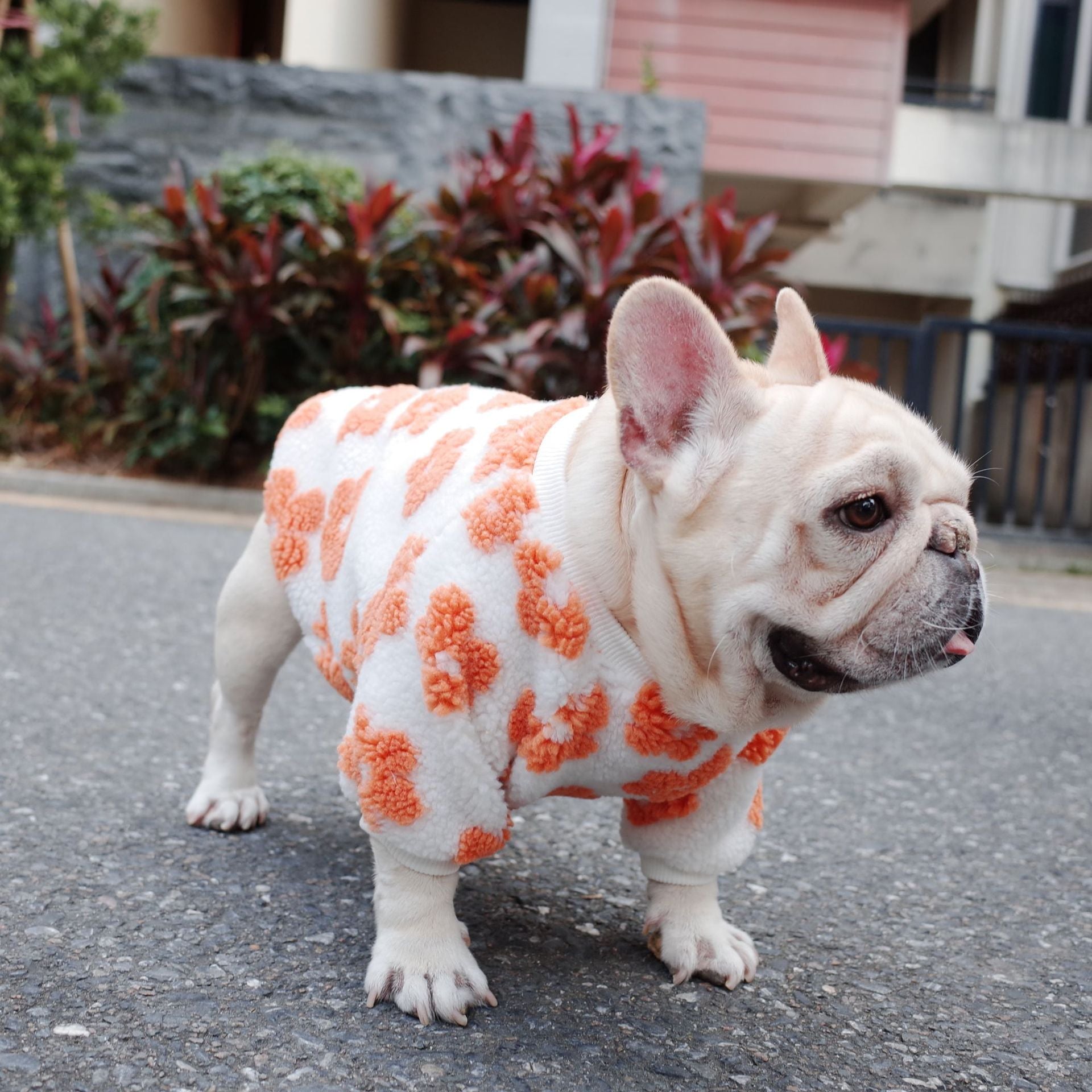 KFX-7800381 Thickened Plush Dog Coat for Autumn and Winter in Green and Orange
