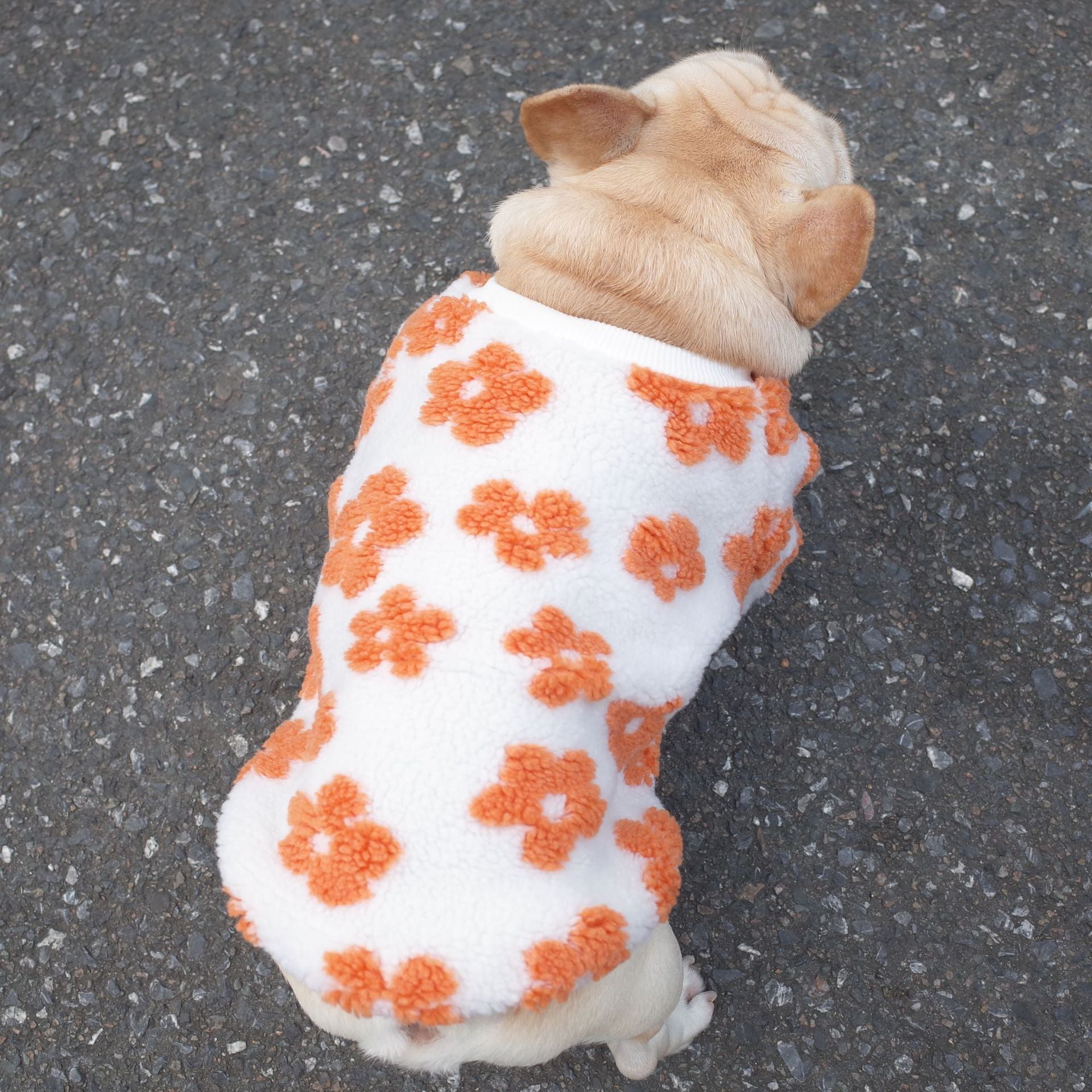 KFX-7800381 Thickened Plush Dog Coat for Autumn and Winter in Green and Orange