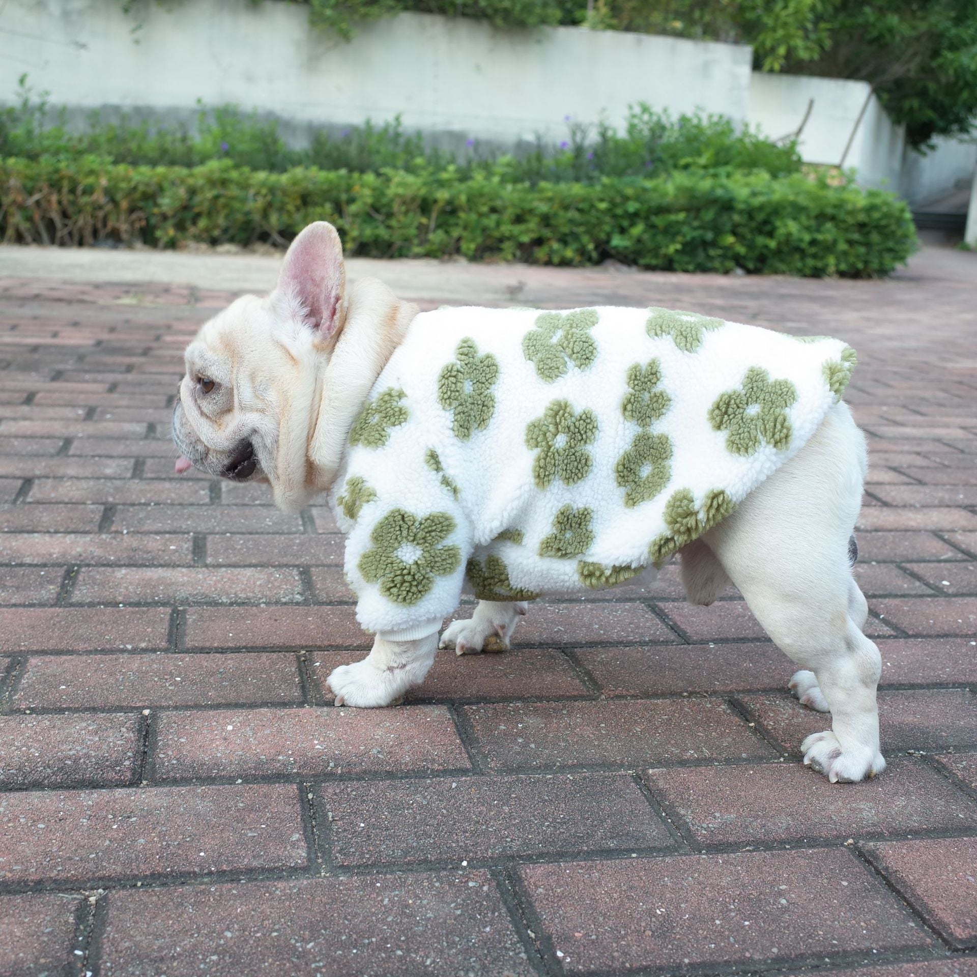 KFX-7800381 Thickened Plush Dog Coat for Autumn and Winter in Green and Orange