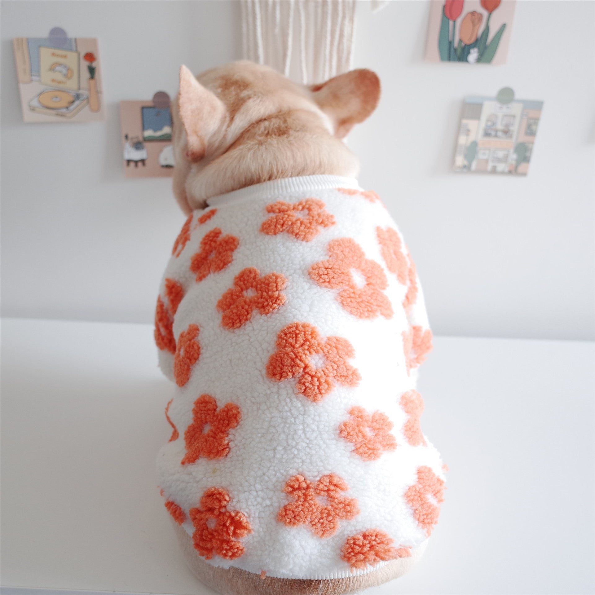 KFX-7800381 Thickened Plush Dog Coat for Autumn and Winter in Green and Orange