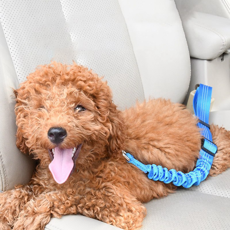 KFX-7803581 Adjustable Elastic Dog Car Seat Belt with Reflective Strip - 50cm to 60cm Length, Available in Multiple Colors