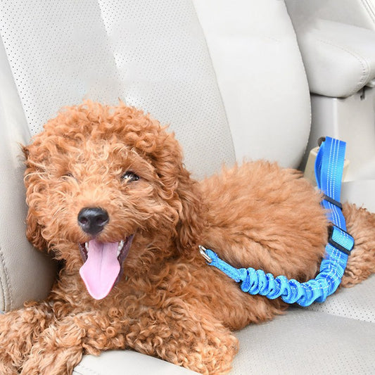 KFX-7803581 Adjustable Elastic Dog Car Seat Belt with Reflective Strip - 50cm to 60cm Length, Available in Multiple Colors