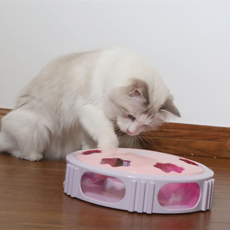 KFX-7804605 Interactive Feather Flashing Puzzle Cat Toy for Engaging Hide and Seek Play