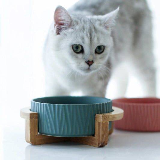 KFX-7805757 Modern Ceramic Cat Food and Drinking Bowl - Available in Multiple Colors