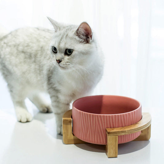 KFX-7805757 Modern Ceramic Cat Food and Drinking Bowl - Available in Multiple Colors