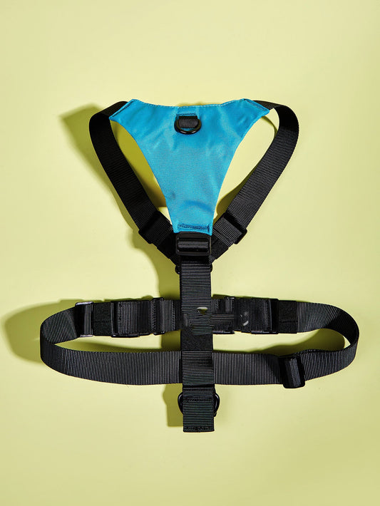 KFX-7808829 Adjustable Dog Chest Harness with Color Matching Leash - Durable 600D Oxford Cloth and Mesh Design