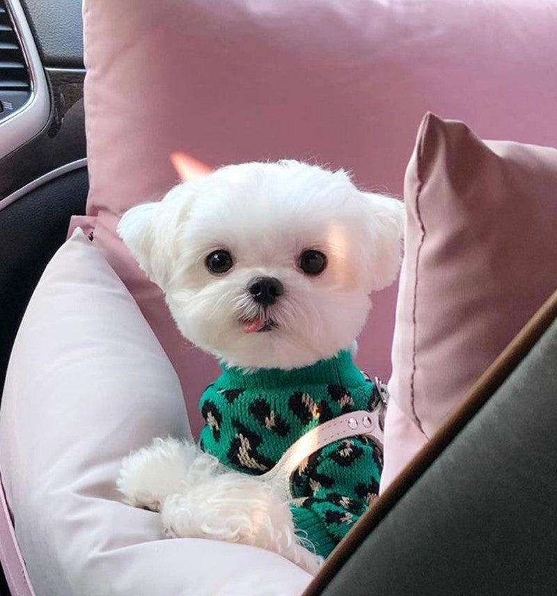 KFX-7813309 Knitted Sleeveless Leopard-Print Sweater for Small Dogs and Cats