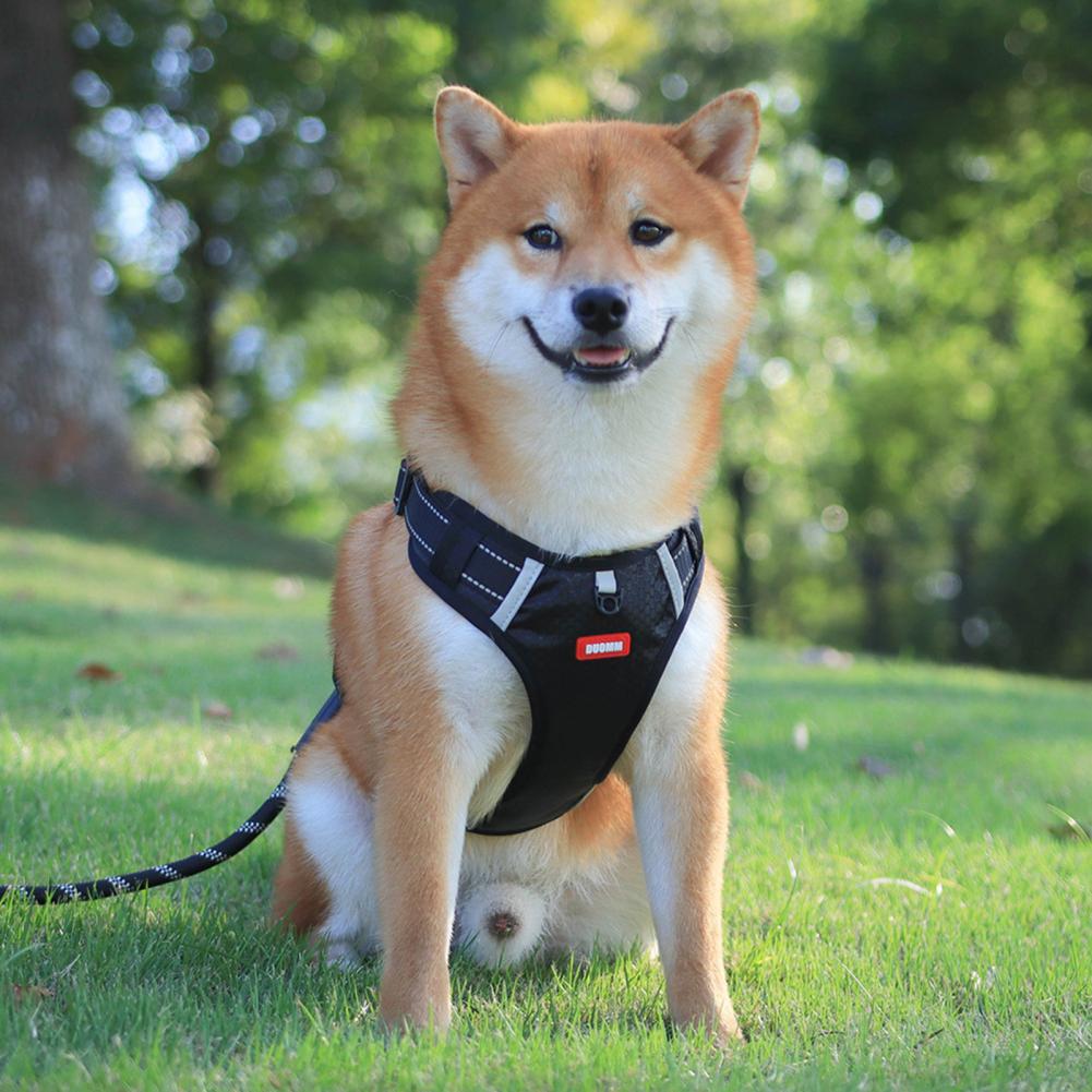 KFX-7823677 Breathable Nylon No-Pull Dog Harness with Adjustable Fit and Reflective Strip for Safe Outdoor Use