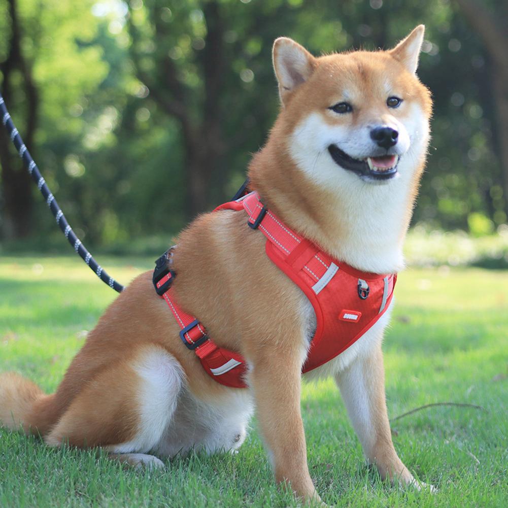 KFX-7823677 Breathable Nylon No-Pull Dog Harness with Adjustable Fit and Reflective Strip for Safe Outdoor Use