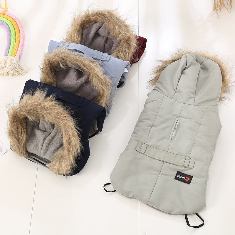 KFX-7825469 Cozy Cotton-Padded Casual Wear for Small Dogs in Autumn/Winter