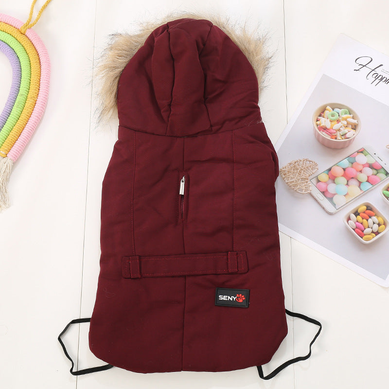 KFX-7825469 Cozy Cotton-Padded Casual Wear for Small Dogs in Autumn/Winter