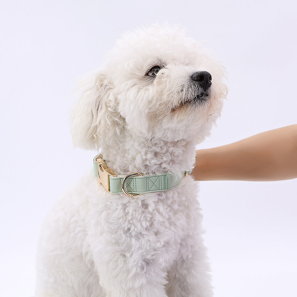 KFX-7828797 High-Quality Monochrome Pet Collar with Metal Buckle in Various Colors and Sizes S, M, L