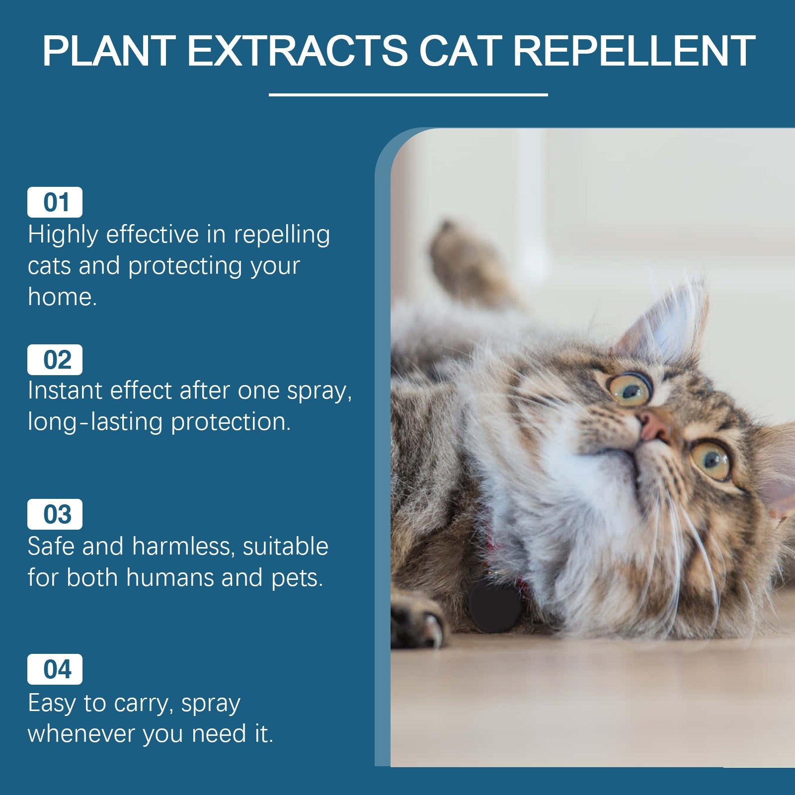 KFX-7830077 Indoor Cat Drive Spray - Pet Insect Repellent with Rosemary, Citrus, Garlic, and Mint Extracts - 100ml