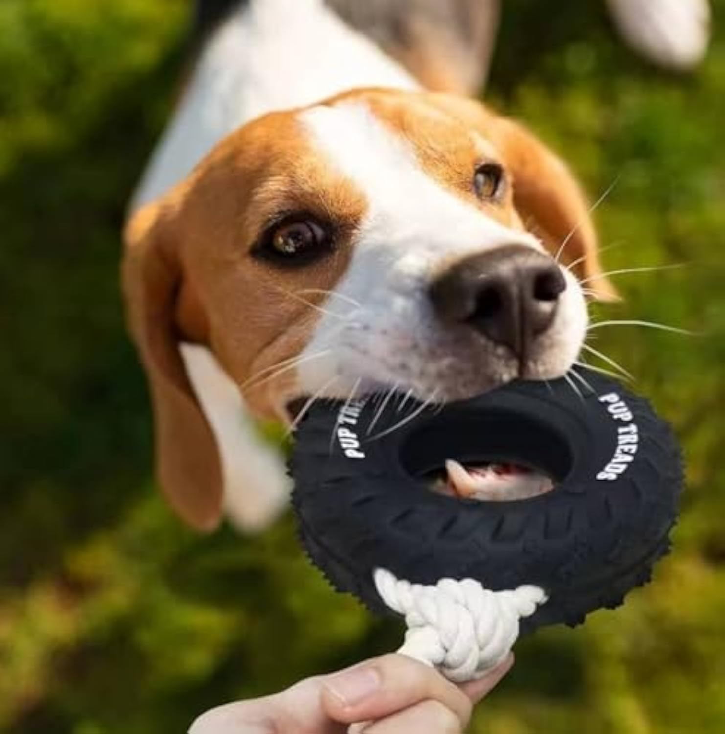 KFX-7834045 Durable Interactive Chew Toy for Large Dogs - Tough Rubber Tire Design for Anxiety Relief and Oral Health