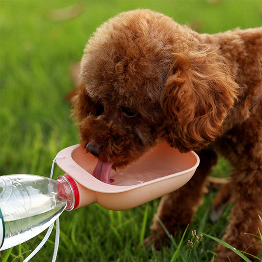 KFX-7838397 Colorful Pet Portable Drinking Bowl - Compact Plastic Design in Five Colors