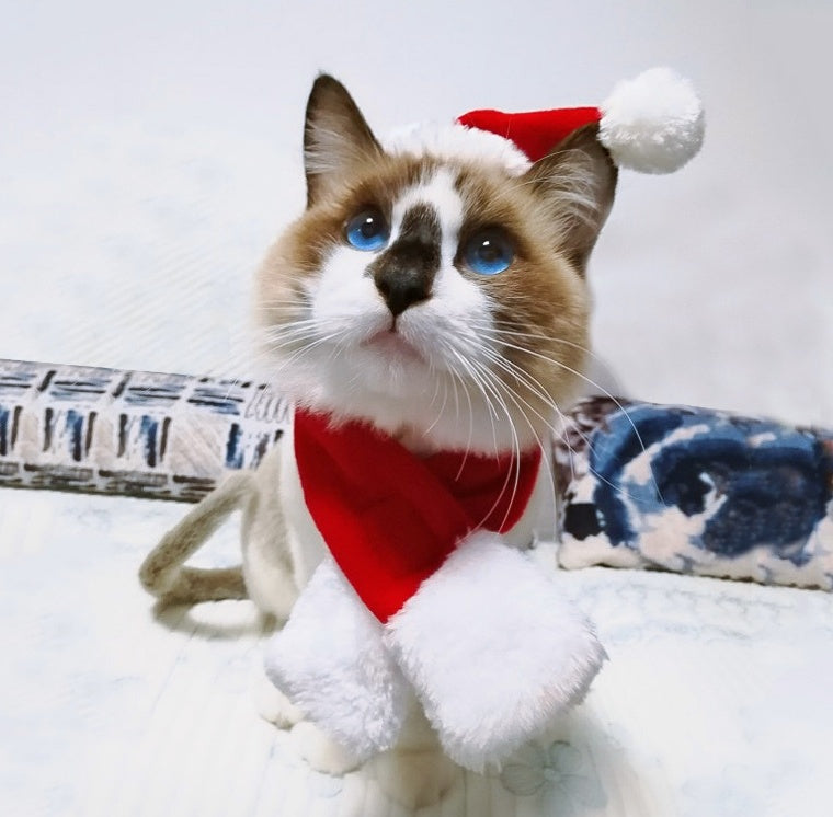 KFX-7839933 Christmas Hat and Scarf Set for Cats and Dogs - Red Short Plush, One Size