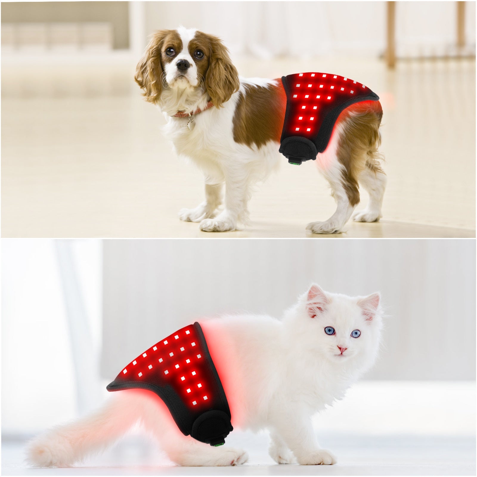 KFX-7853117 Pet Physiotherapy Infrared Therapy Belt for Home Use - Black, USB Rechargeable