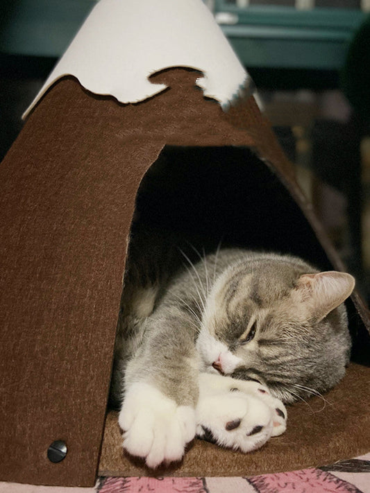 KFX-7858621 Cozy Closed Pet Tent with Snow-Top Design and Velvet Pad for Cats