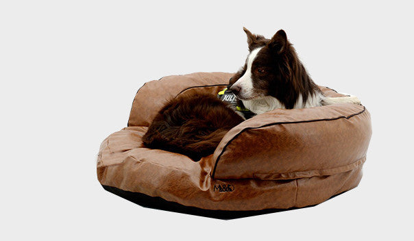 KFX-7863613 Removable and Washable Dog and Cat Kennel with Embroidered Characters in Various Stylish Colors