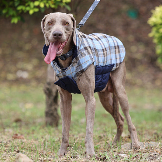 KFX-7865149 Double-Sided Waterproof Warm Dog Clothes in Various Colors and Sizes