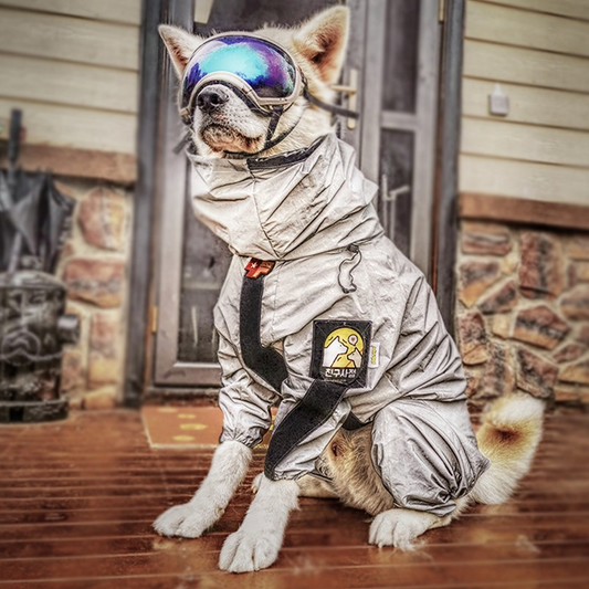 KFX-7869501 Waterproof Full-Surround Dog Raincoat in Reflective Gray for Medium to Large Breeds
