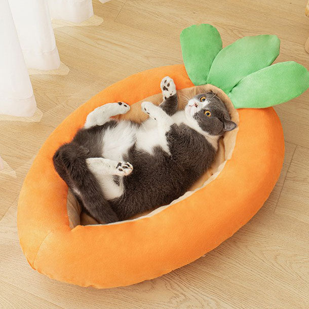 KFX-7884861 Double-Sided Removable Washable Cat Litter in Carrot Design - Pet Mattress, Medium and Large Sizes Available