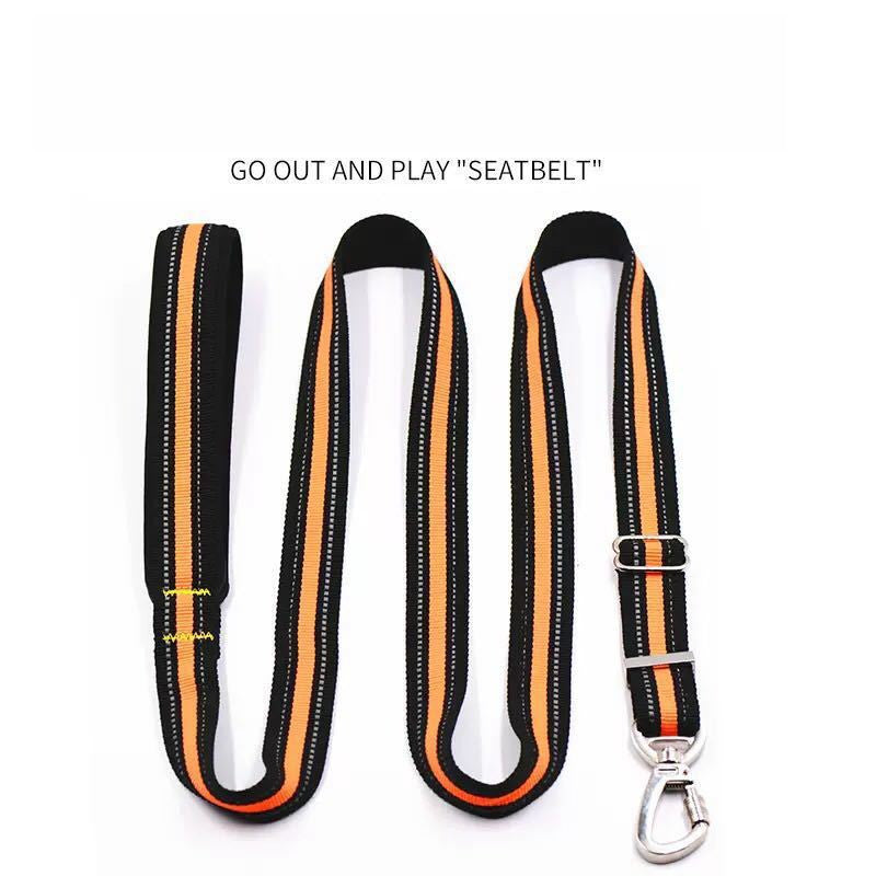 KFX-7886397 Reflective Elastic Traction Leash for Dogs - Durable Anti-Nylon, 2.5*100-170CM, Available in Blue and Orange