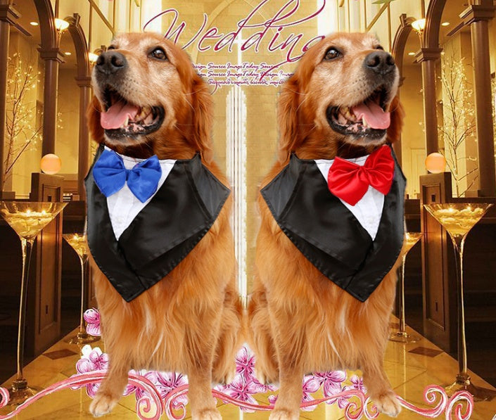 KFX-7887165 Large Triangular Dog Scarf for Weddings - Adjustable Neck Size 57-67cm, Silk Fabric with Waterproof Nylon Backing, Available in Red, Blue, and Purple